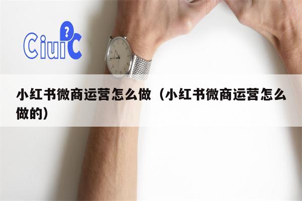 小红书微商运营怎么做（小红书微商运营怎么做的）