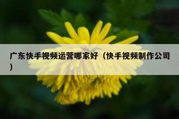 广东快手视频运营哪家好（快手视频制作公司）