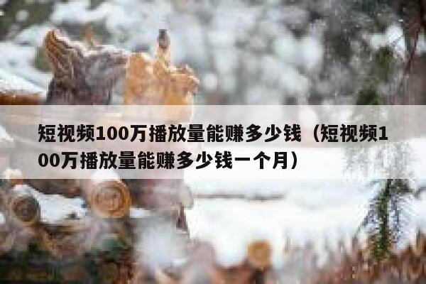 短视频100万播放量能赚多少钱（短视频100万播放量能赚多少钱一个月）