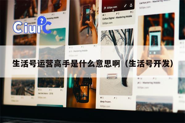 生活号运营高手是什么意思啊（生活号开发）