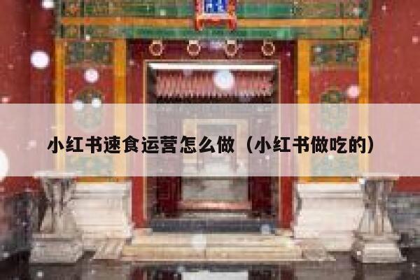 小红书速食运营怎么做（小红书做吃的）