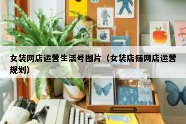 女装网店运营生活号图片（女装店铺网店运营规划）