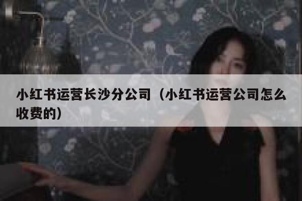 小红书运营长沙分公司（小红书运营公司怎么收费的）