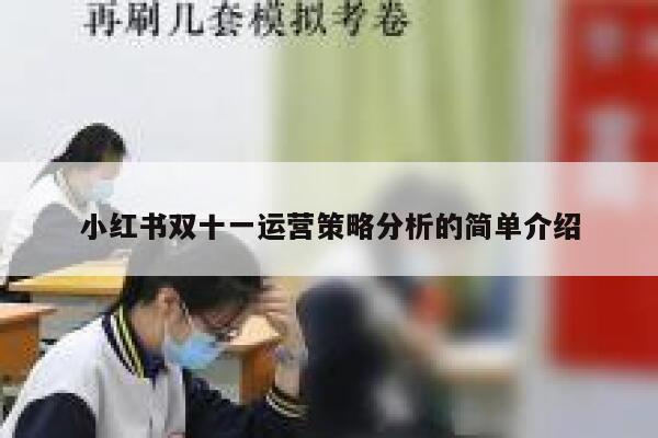 小红书双十一运营策略分析的简单介绍