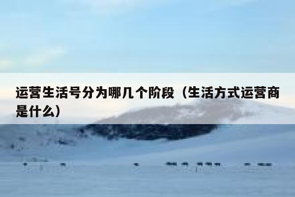 运营生活号分为哪几个阶段（生活方式运营商是什么）