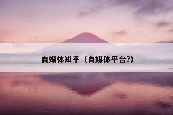 自媒体知乎（自媒体平台?）