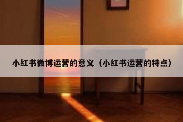 小红书微博运营的意义（小红书运营的特点）