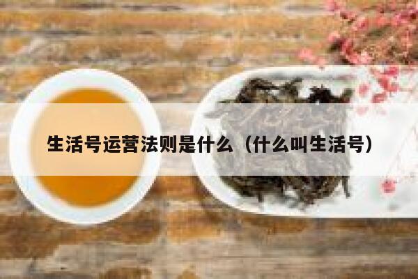生活号运营法则是什么（什么叫生活号）