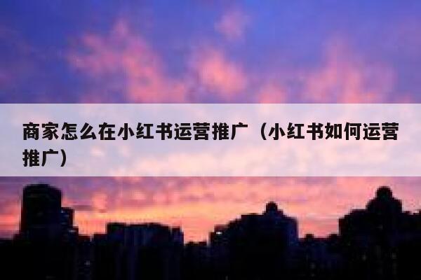 商家怎么在小红书运营推广（小红书如何运营推广）