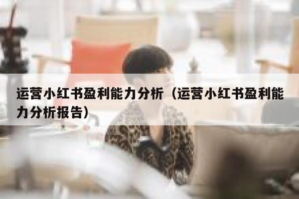 运营小红书盈利能力分析（运营小红书盈利能力分析报告）