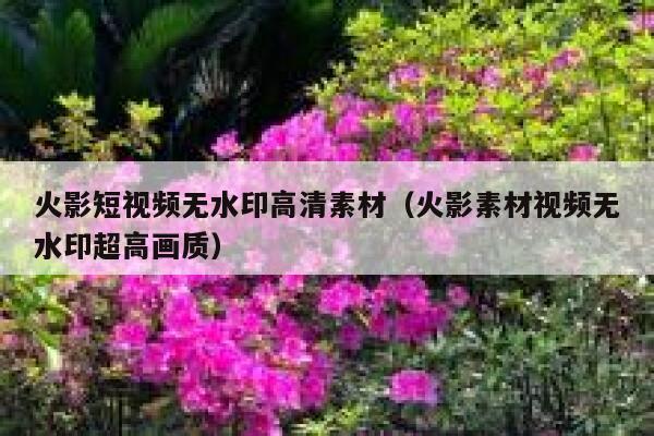 火影短视频无水印高清素材（火影素材视频无水印超高画质）
