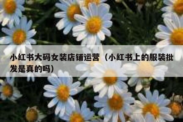 小红书大码女装店铺运营（小红书上的服装批发是真的吗）