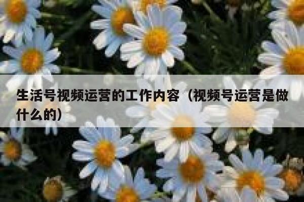 生活号视频运营的工作内容（视频号运营是做什么的）