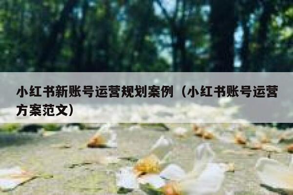 小红书新账号运营规划案例（小红书账号运营方案范文）