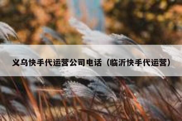 义乌快手代运营公司电话（临沂快手代运营）