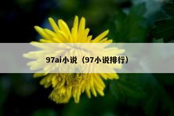 97ai小说（97小说排行）