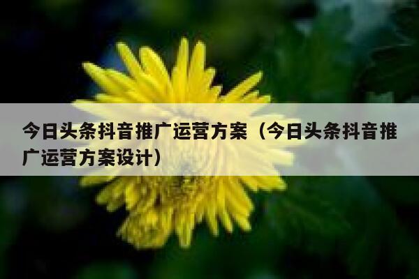 今日头条抖音推广运营方案（今日头条抖音推广运营方案设计）