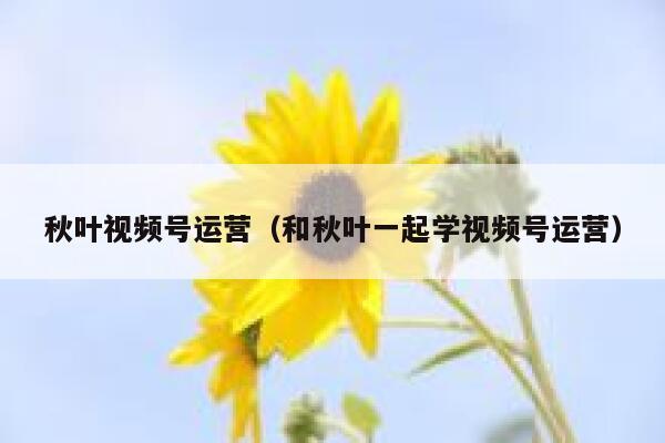 秋叶视频号运营（和秋叶一起学视频号运营）