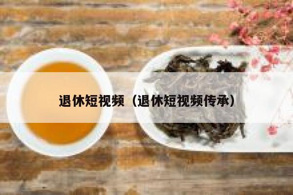 退休短视频（退休短视频传承）
