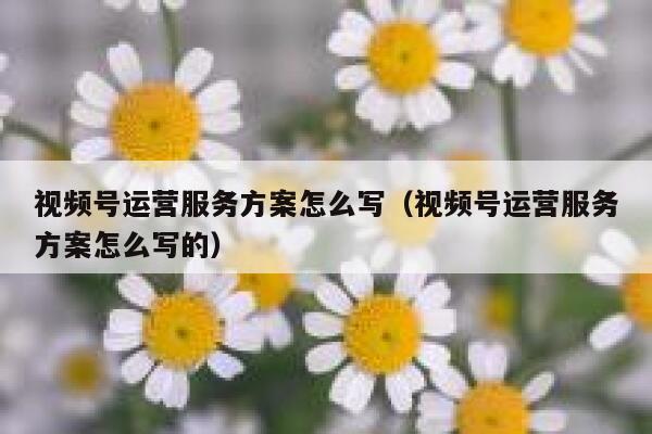 视频号运营服务方案怎么写（视频号运营服务方案怎么写的）