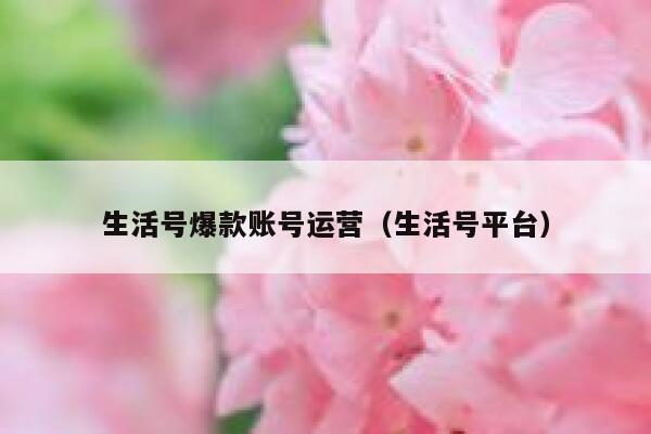 生活号爆款账号运营（生活号平台）