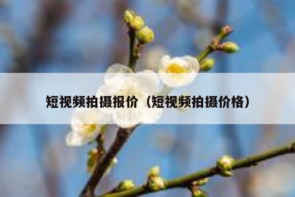 短视频拍摄报价（短视频拍摄价格）