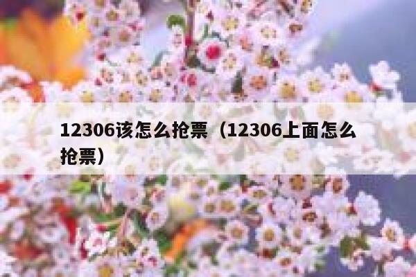 12306该怎么抢票（12306上面怎么抢票）