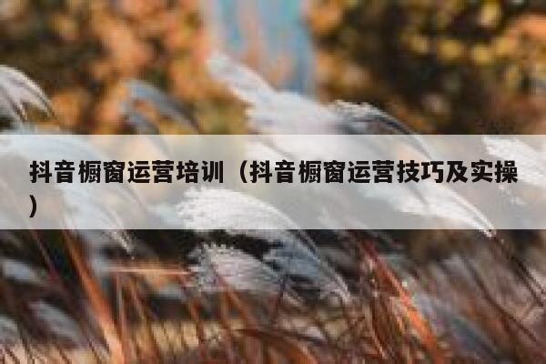 抖音橱窗运营培训（抖音橱窗运营技巧及实操）