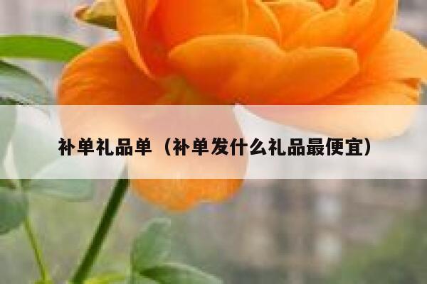 补单礼品单（补单发什么礼品最便宜）