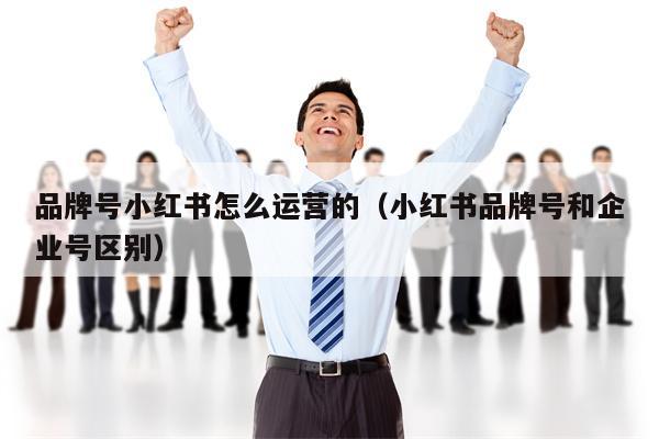 品牌号小红书怎么运营的（小红书品牌号和企业号区别）