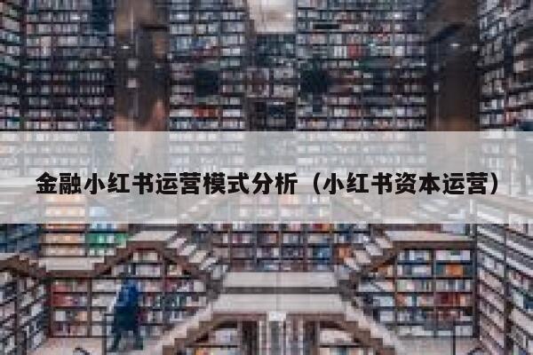 金融小红书运营模式分析（小红书资本运营）