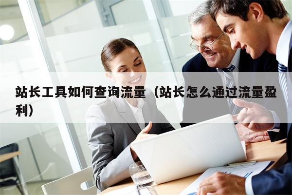 站长工具如何查询流量（站长怎么通过流量盈利）