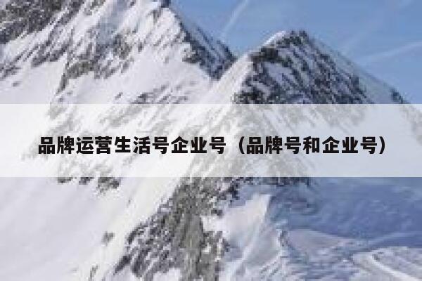 品牌运营生活号企业号（品牌号和企业号）