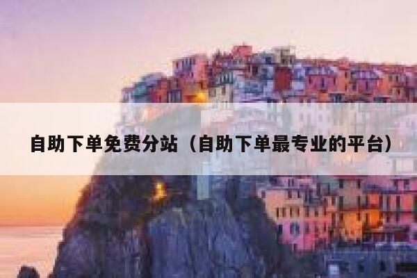 自助下单免费分站（自助下单最专业的平台）