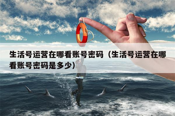 生活号运营在哪看账号密码（生活号运营在哪看账号密码是多少）