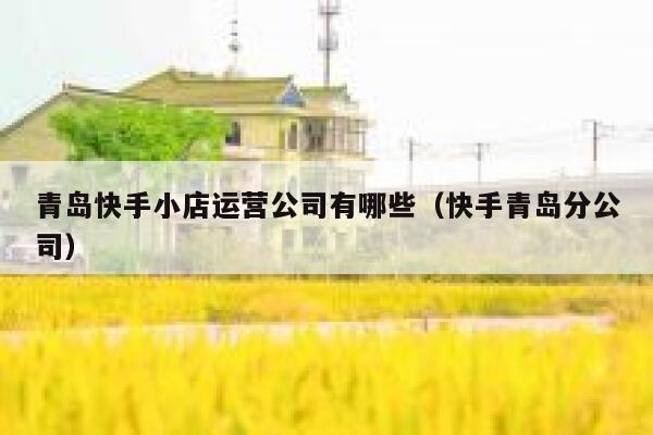 青岛快手小店运营公司有哪些（快手青岛分公司）