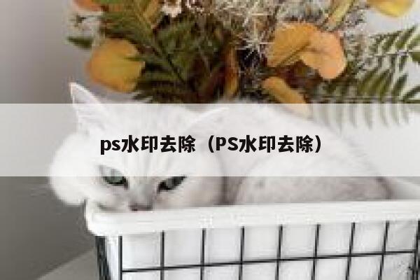 ps水印去除（PS水印去除）