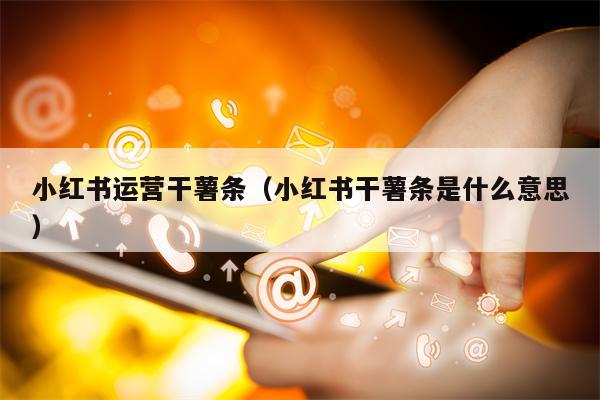 小红书运营干薯条（小红书干薯条是什么意思）