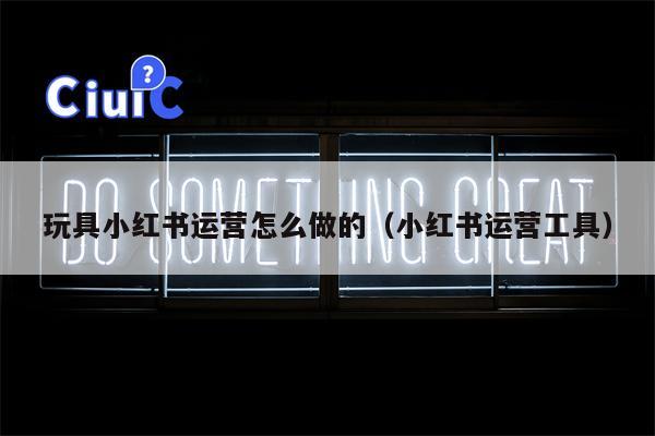 玩具小红书运营怎么做的（小红书运营工具）