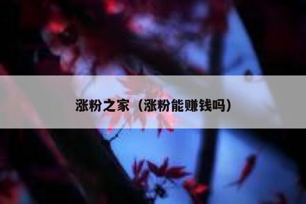 涨粉之家（涨粉能赚钱吗）