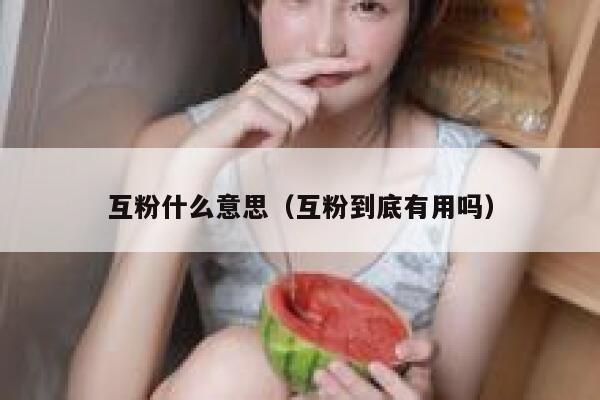 互粉什么意思（互粉到底有用吗）