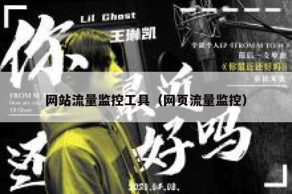 网站流量监控工具（网页流量监控）
