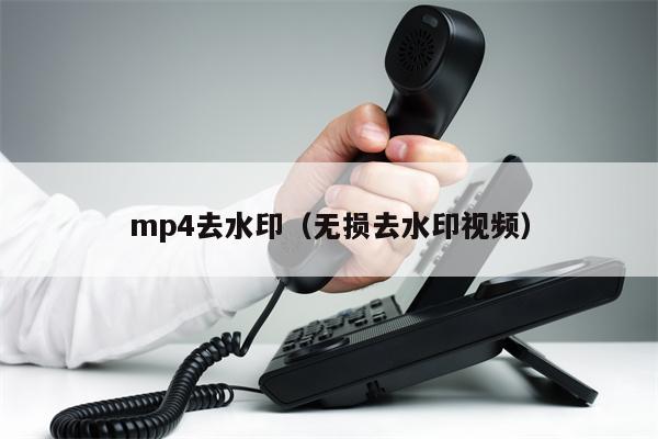 mp4去水印（无损去水印视频）