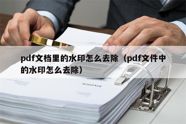 pdf文档里的水印怎么去除（pdf文件中的水印怎么去除）