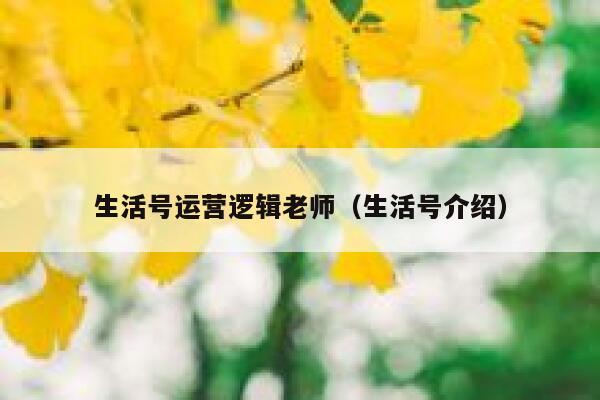 生活号运营逻辑老师（生活号介绍）