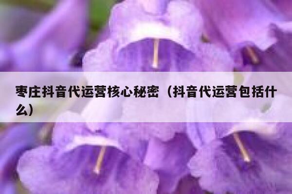 枣庄抖音代运营核心秘密（抖音代运营包括什么）
