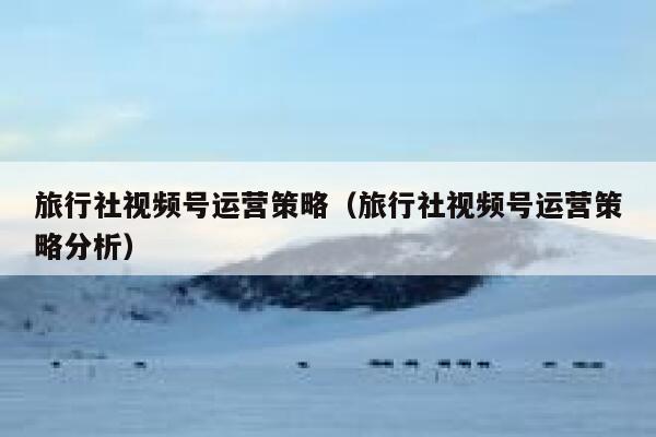 旅行社视频号运营策略（旅行社视频号运营策略分析）