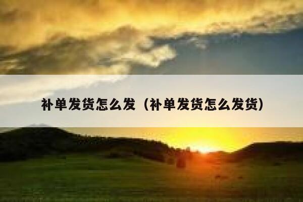 补单发货怎么发（补单发货怎么发货）