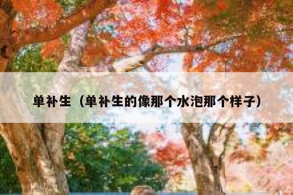 单补生（单补生的像那个水泡那个样子）
