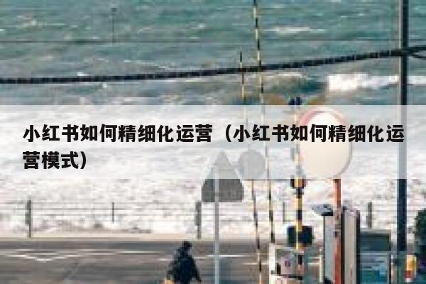 小红书如何精细化运营（小红书如何精细化运营模式）